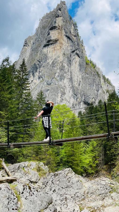 Resort Valea Tatarilor Lacu Rosu Exteriör bild